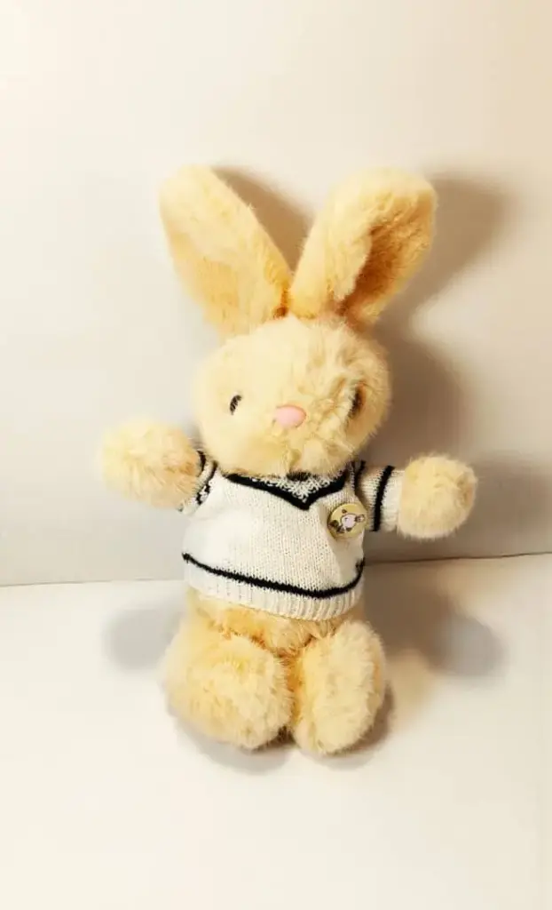 دبدوب ارنب صغير بروش