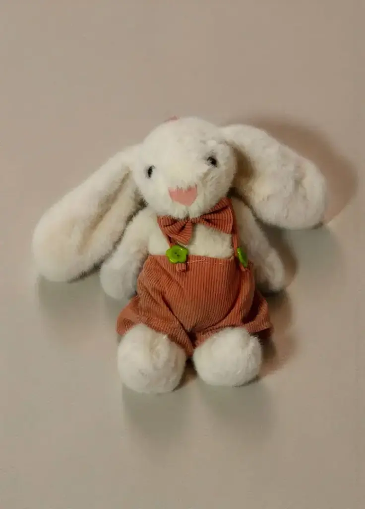 دبدوب ارنب صغير افرول