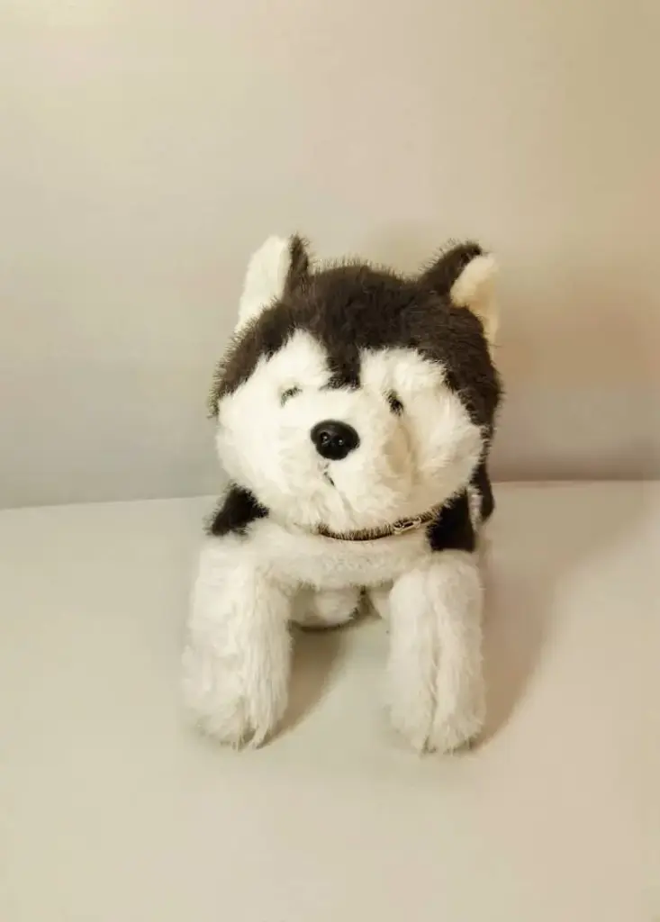 دبدوب كلب جرو