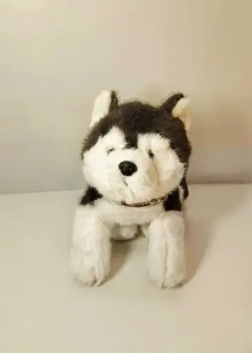 دبدوب كلب جرو